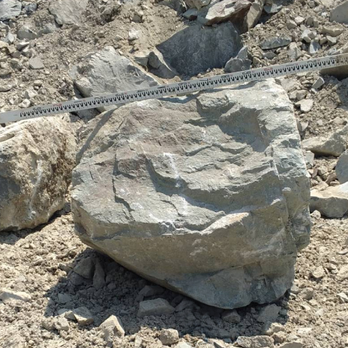 トン石(約90センチ角)